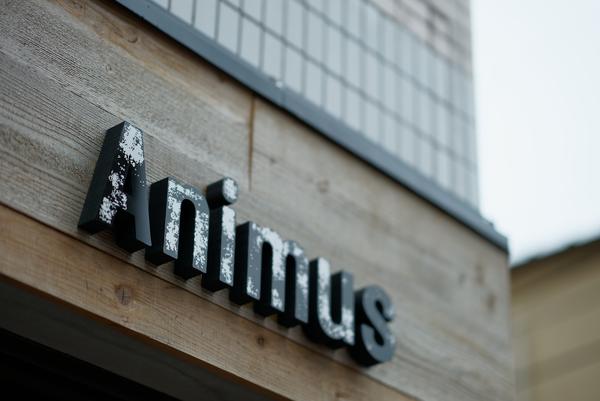 Animus