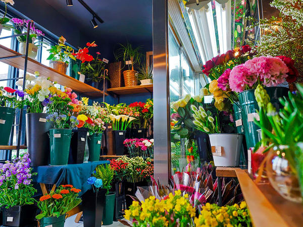 フルール・ジラフ