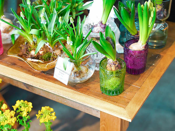 フルール・ジラフ