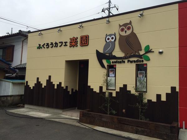 ふくろうカフェ 楽園 ふくろううカフェ 井野駅 店舗デザイン Com