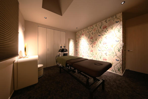 ageless care salon miroku