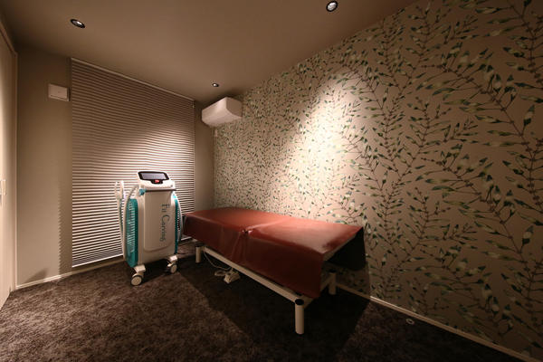 ageless care salon miroku