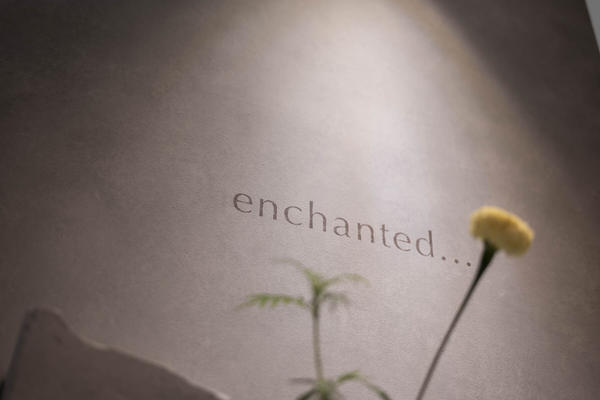 enchanted…