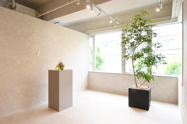 if. 西宮店