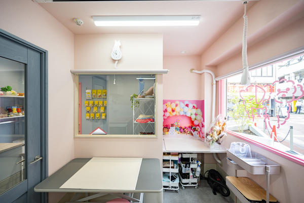 PET SALON REPOS