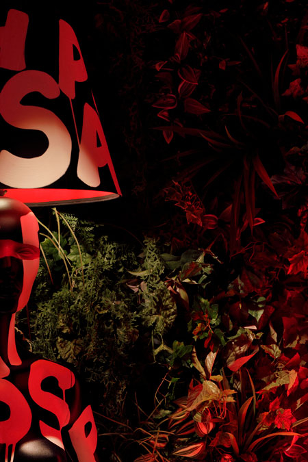 PASHA CLUB