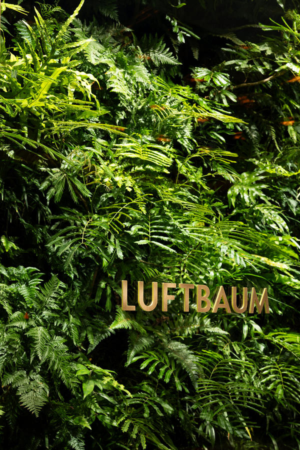 LUFTBAUM　28F パート１