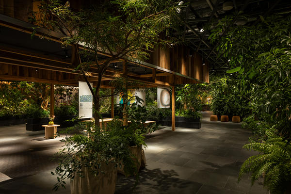 LUFTBAUM　28F パート１