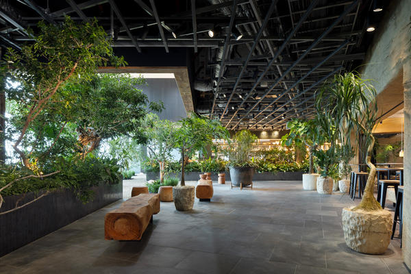 LUFTBAUM　28F パート１