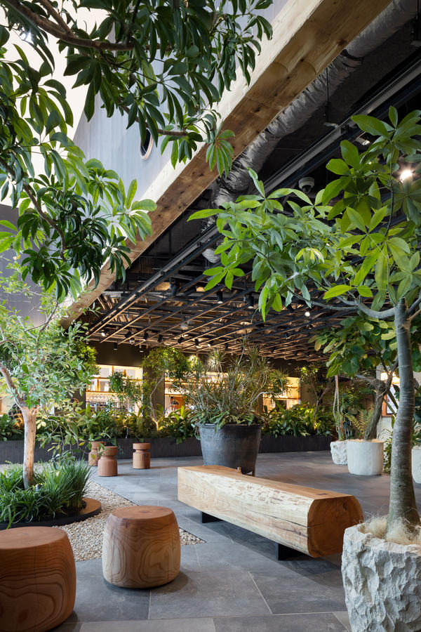 LUFTBAUM　28F パート１