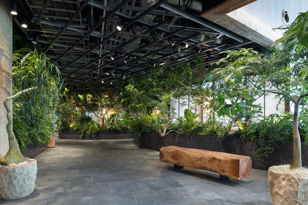 LUFTBAUM　28F パート１