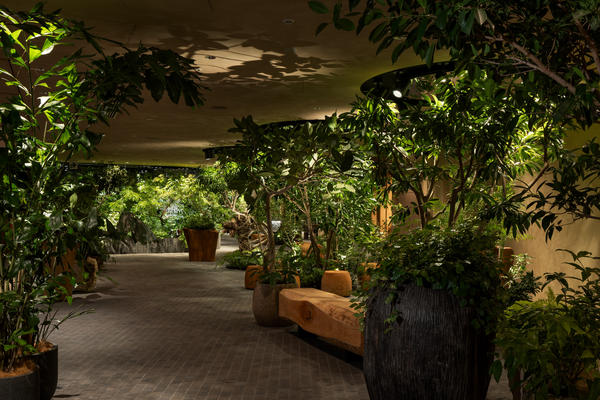 LUFTBAUM　28F　パート２