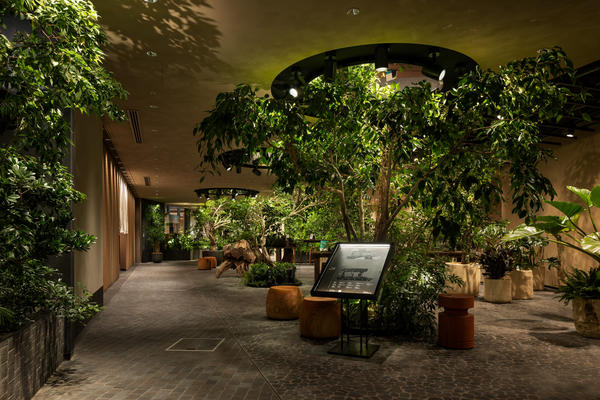 LUFTBAUM　28F　パート２