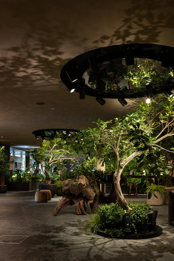 LUFTBAUM 28F パート３