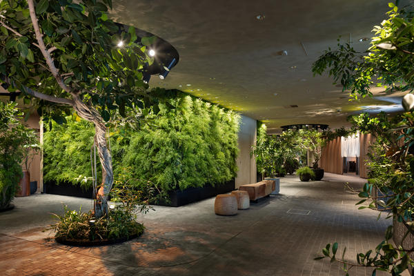 LUFTBAUM 28F パート３