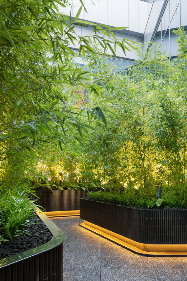 LUFTBAUM　28F　パート５