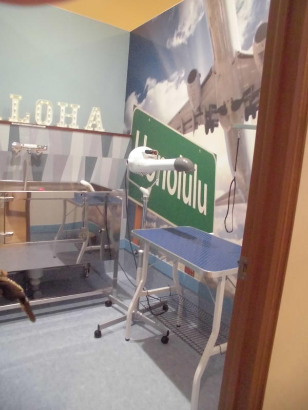 ペットサロン　ラキ