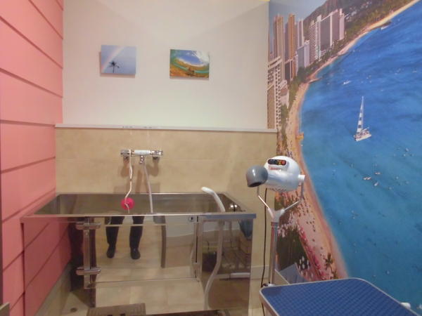 ペットサロン　ラキ