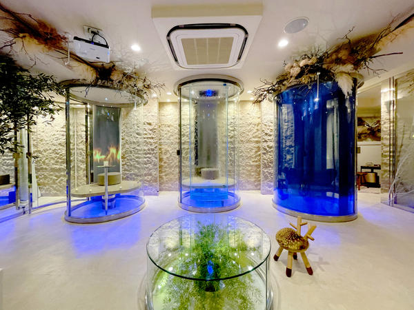 mindfulness consulting