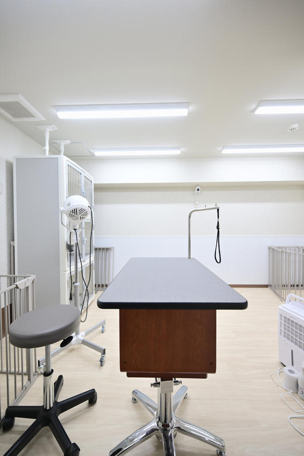 dog salonまーとる