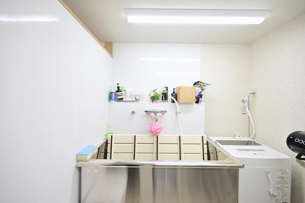 dog salonまーとる