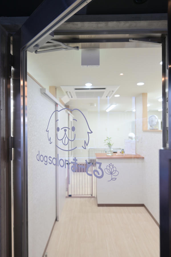 dog salonまーとる