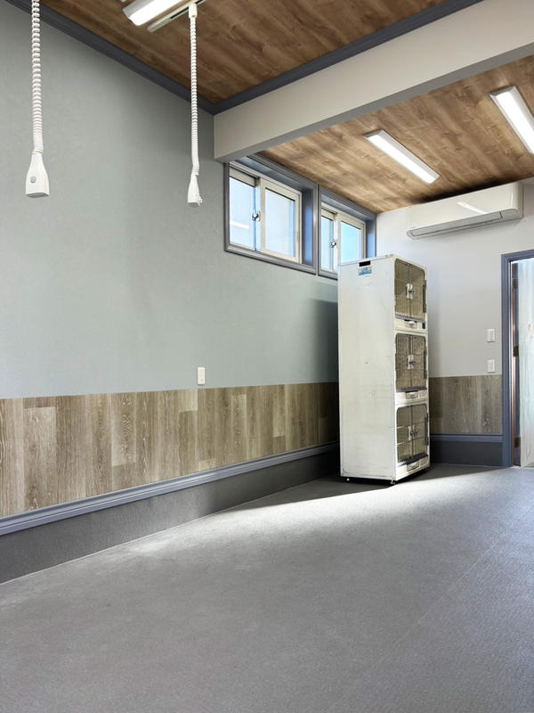 trimming salon comfy 