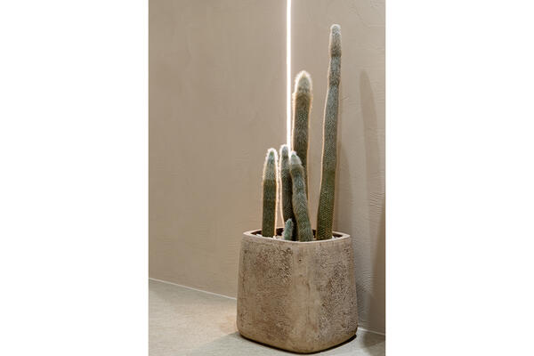 GO TODAY SHAiRE SALON 渋谷Lit店