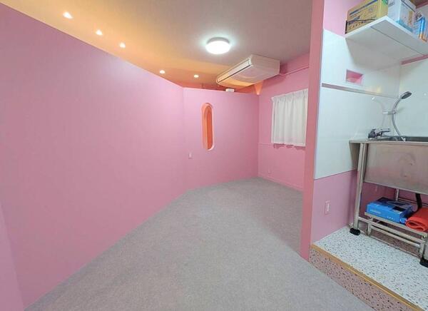 COLORER 世田谷店