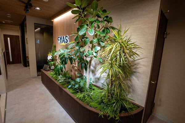 アイアス税理士法人様