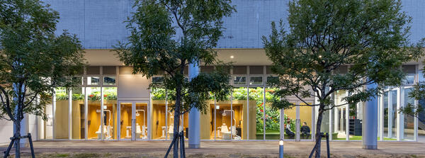 NEO ToothLand（横浜ゆうみらい小児歯科・矯正歯科）