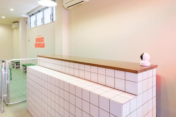 コーギーワールド2号店