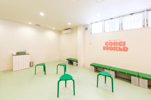 コーギーワールド2号店