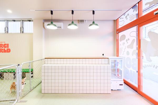 コーギーワールド2号店