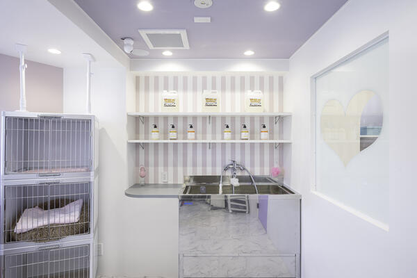 MoNoRi by REOCHE RU SAKURA