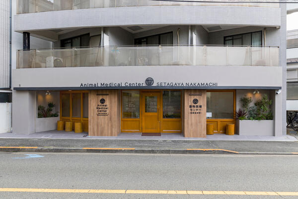 動物医療センター世田谷中町