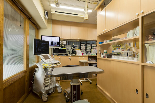 動物医療センター世田谷中町