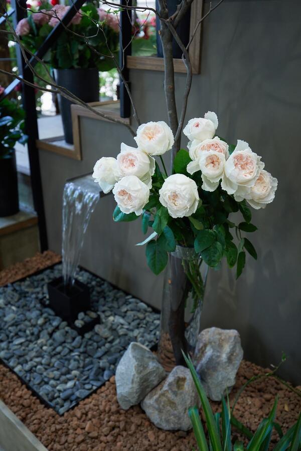 Aoyama Flower Market 南青山本店
