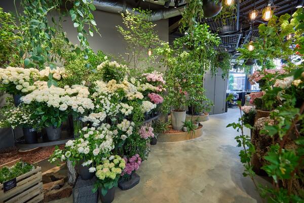 Aoyama Flower Market 南青山本店