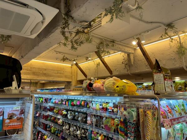 ペットショップコジマ GRAND 東日本橋店