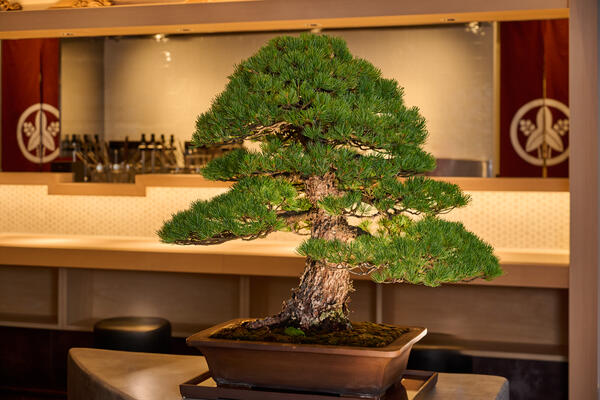築地かわむら