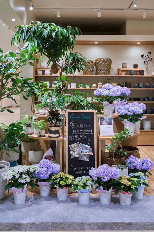 IN NATURAL　モザイクモール港北
