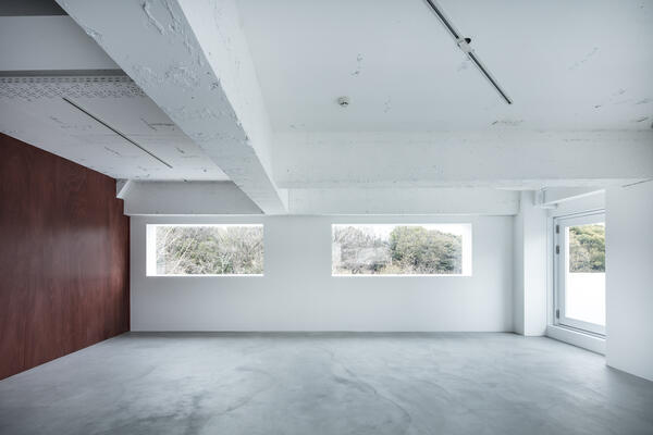 Hoth.studio