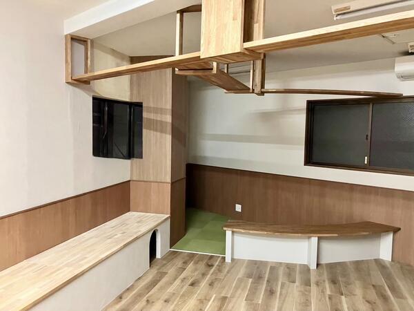 高槻猫カフェ