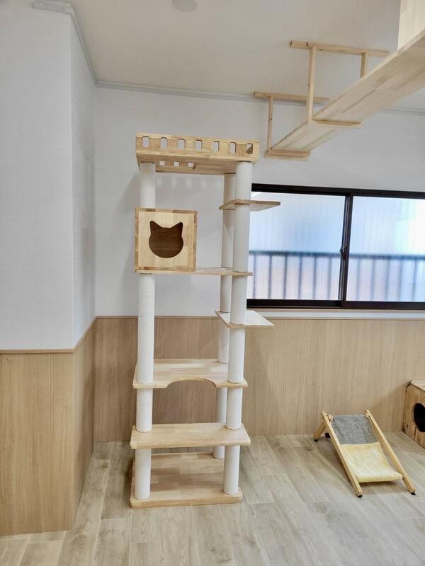東淀川猫カフェ