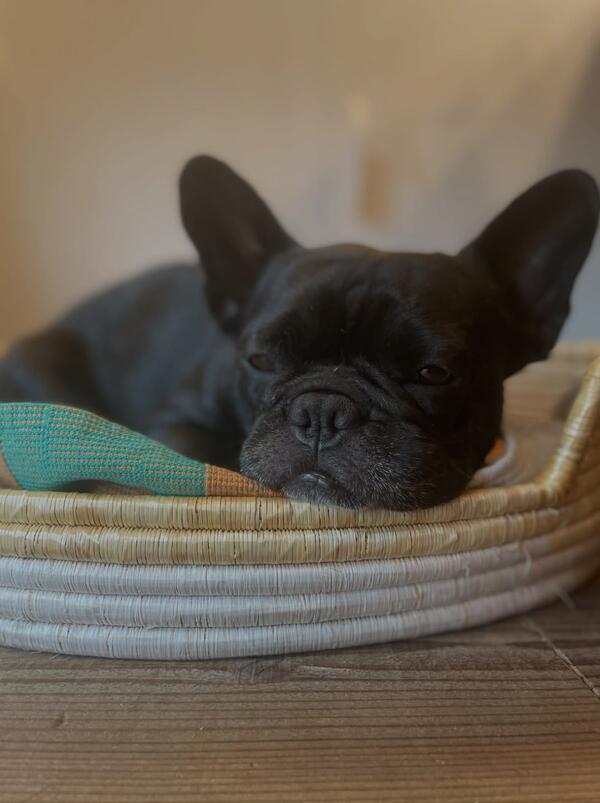Cafeteria et Bar   Lis