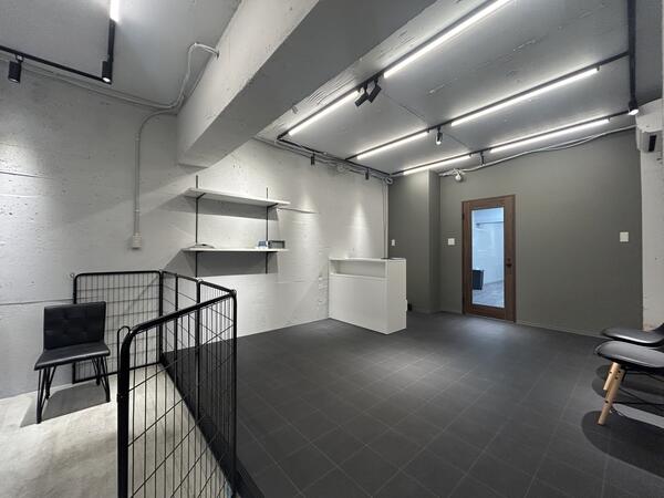 DOGSALON AnnMerry