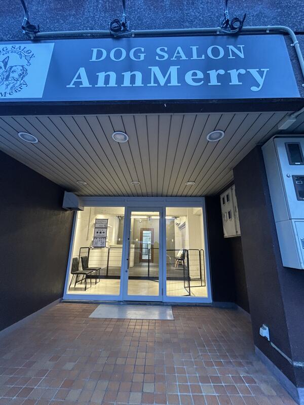 DOGSALON AnnMerry