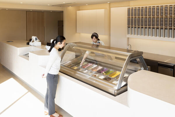 GELATERIA solege