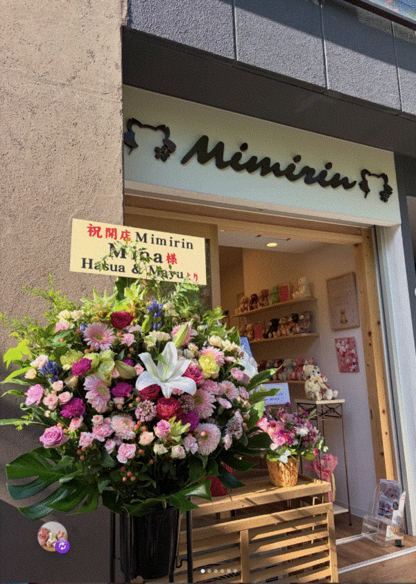 Mimirin